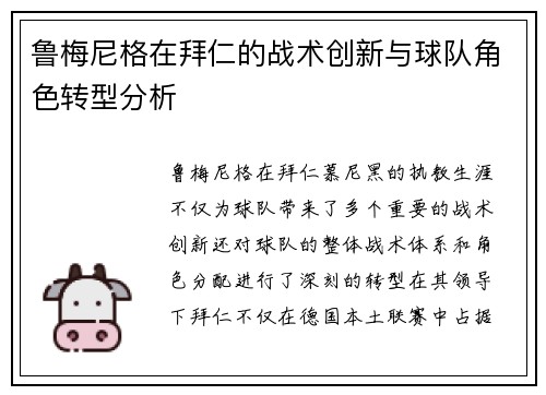 鲁梅尼格在拜仁的战术创新与球队角色转型分析